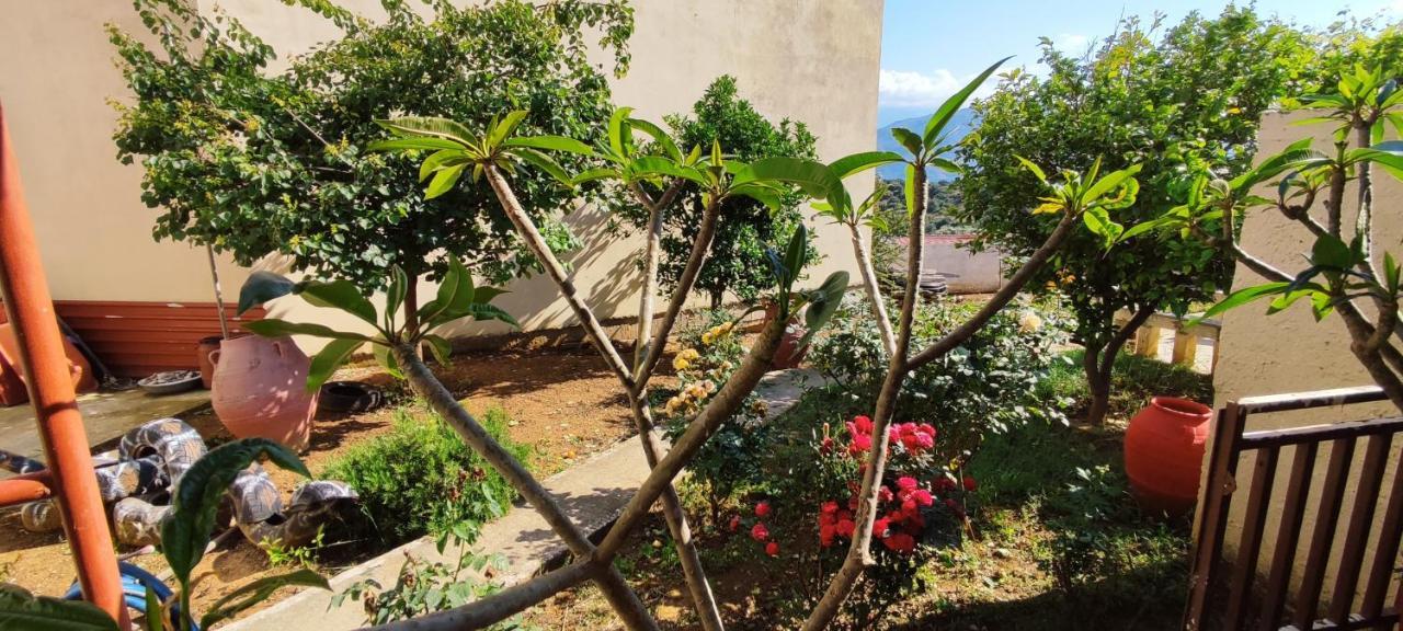 Village House With A Nice Garden Stérnai Esterno foto